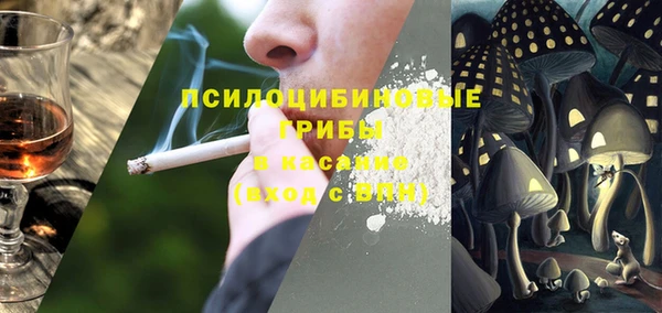 гашик Лиски