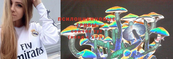гашик Лиски
