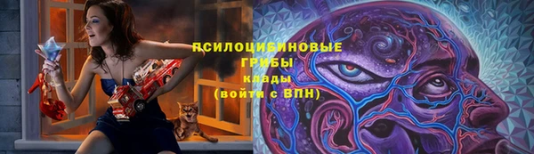 гашик Лиски