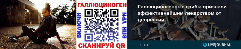 Купить Кадников Галлюциногенные грибы мухоморы